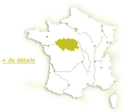 France, Centre Val de Loire, vignobles