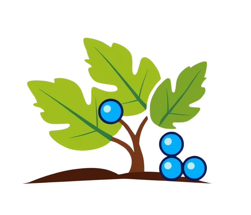 logo projet travaux CO2 viticulture